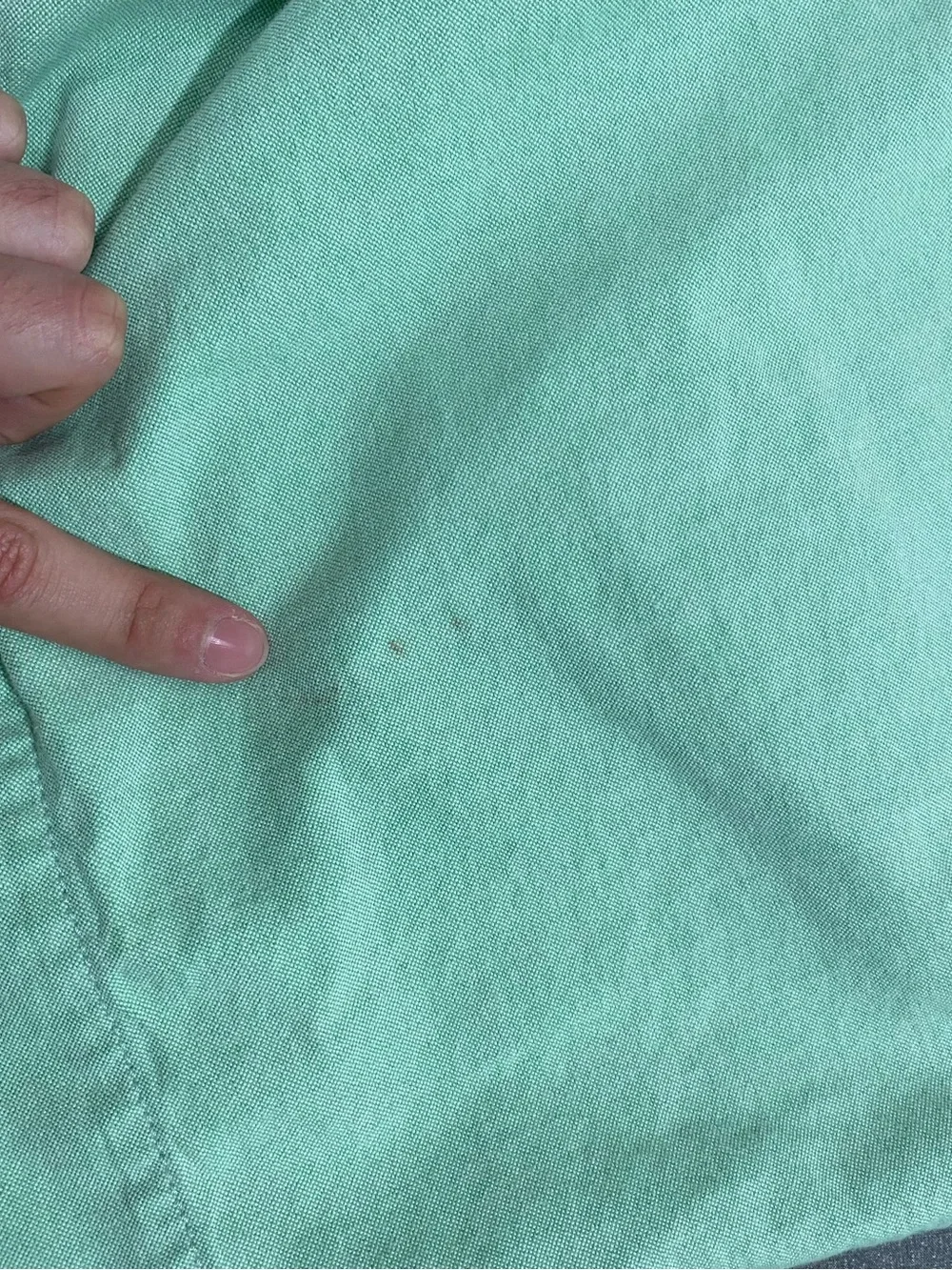 Polo by Ralph Lauren Mint Green 100% Cotton Flat-Front Shorts